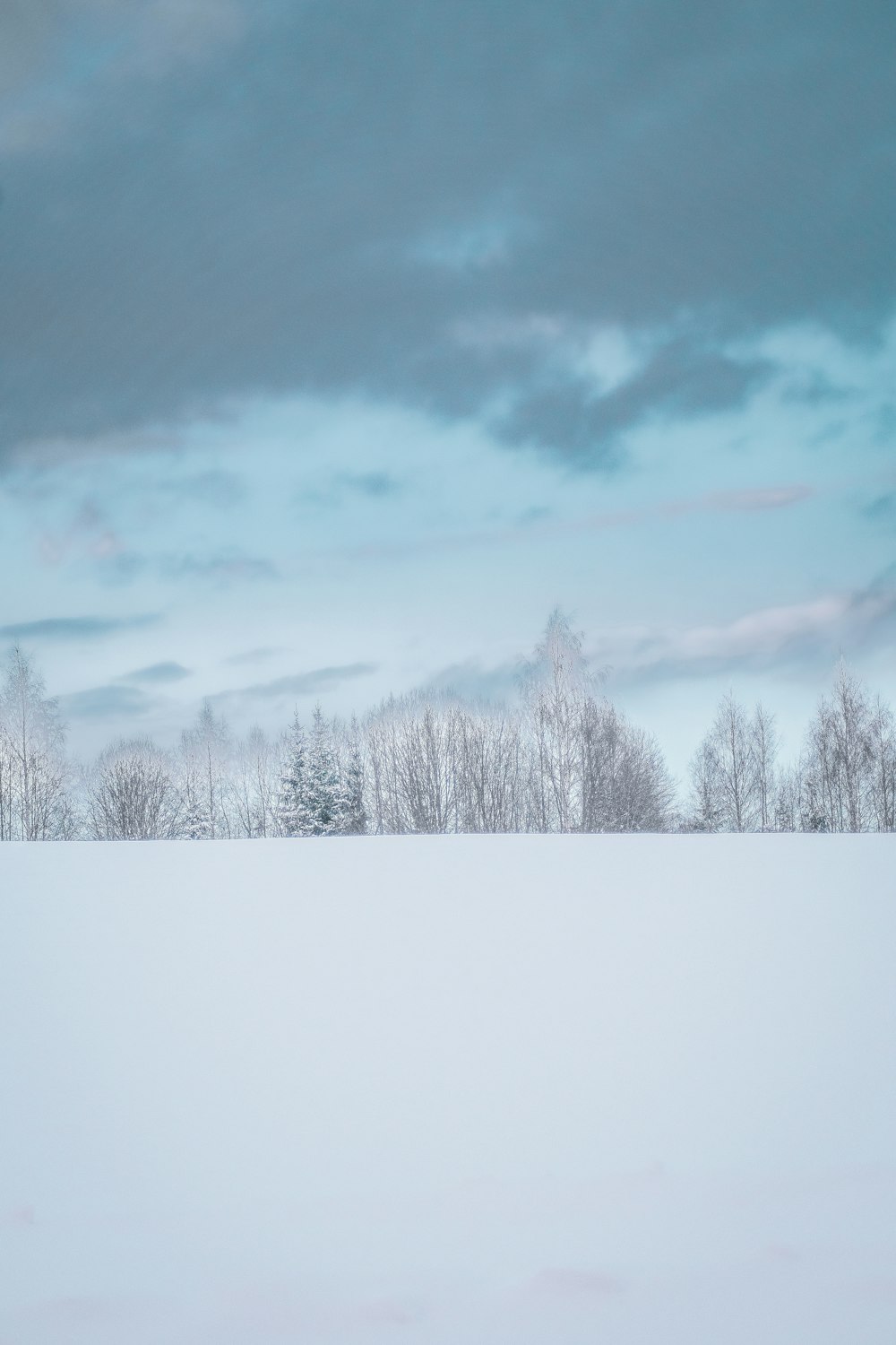 a snowy field with trees in the distance