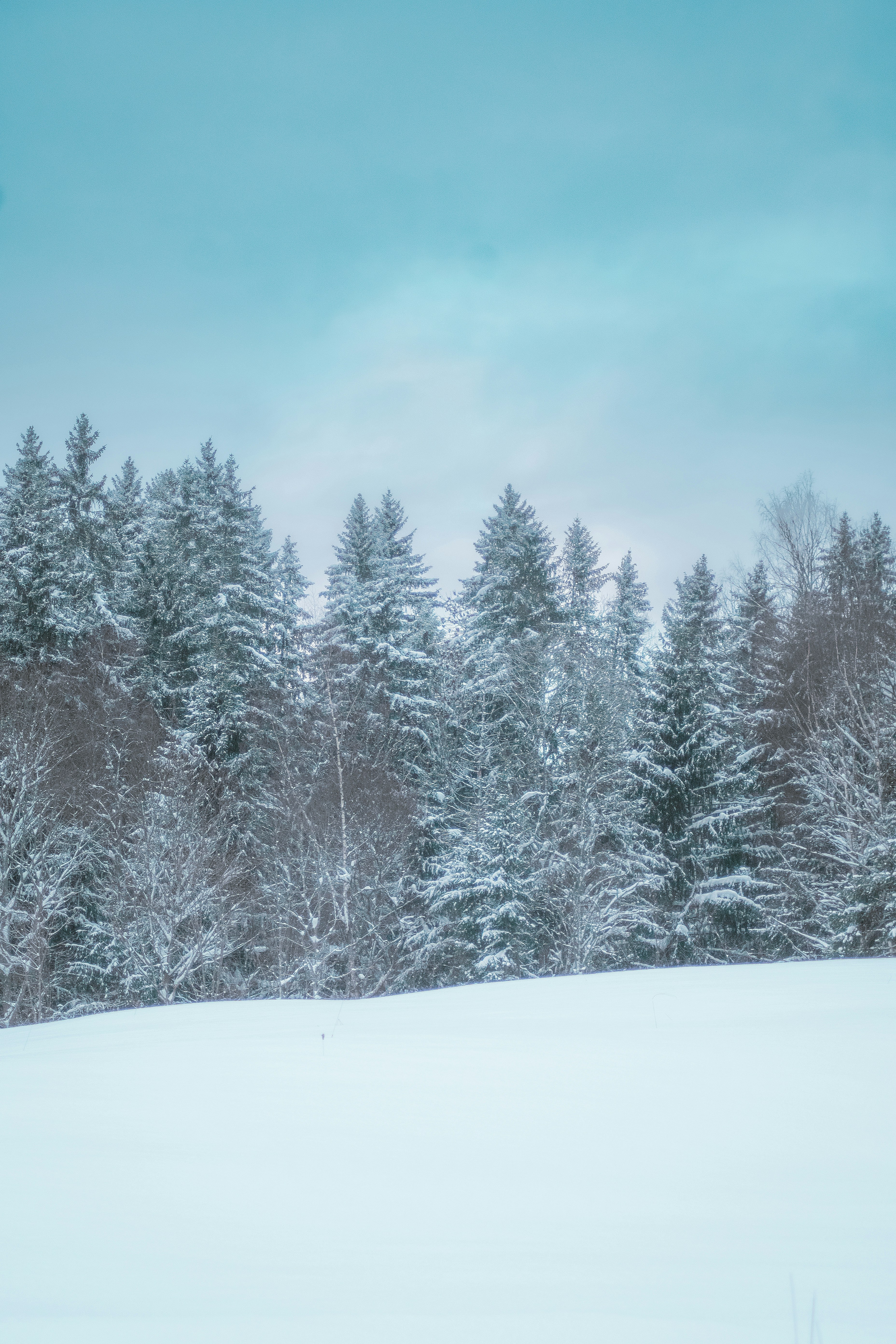 Photo by ainarscekuls