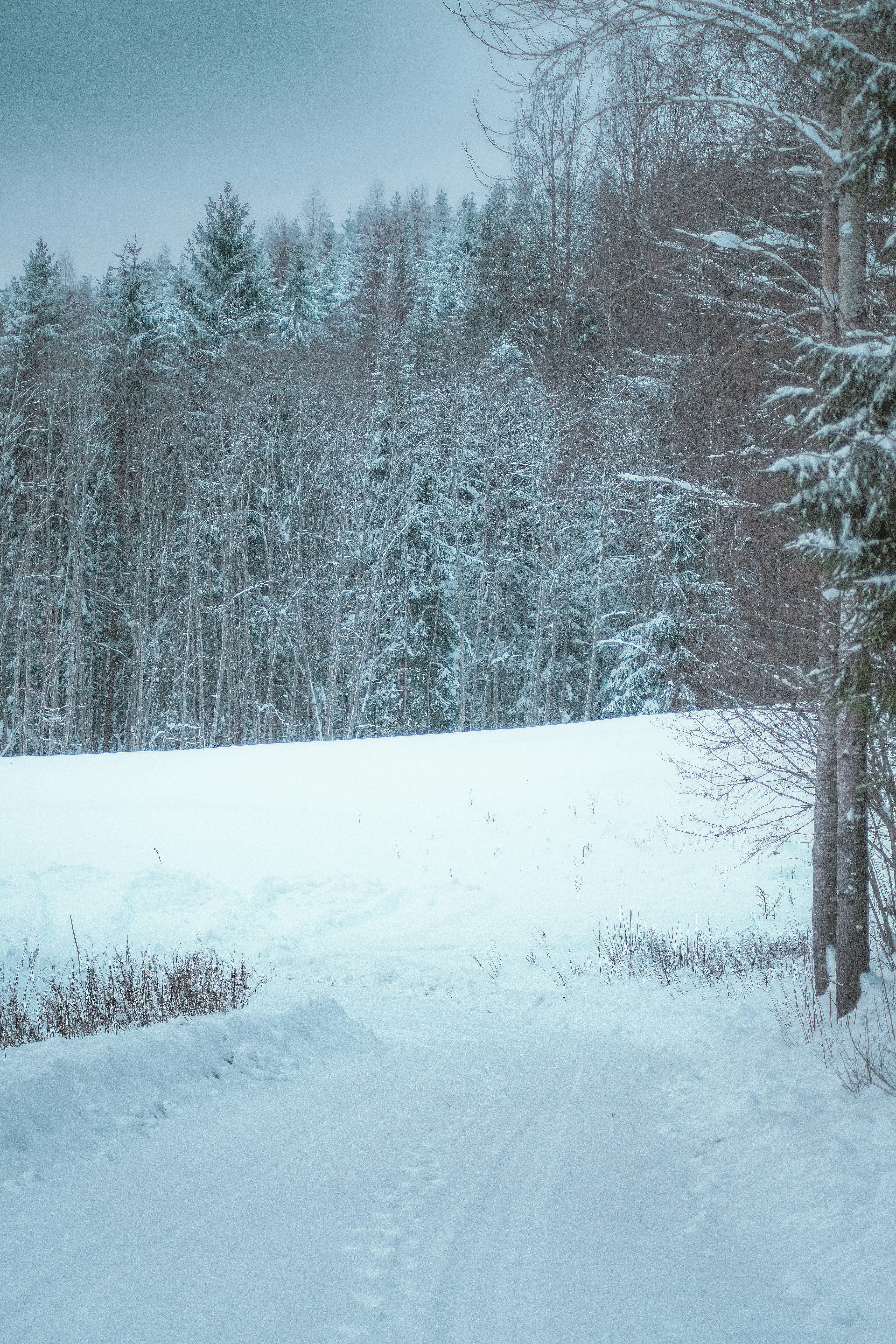 Photo by ainarscekuls