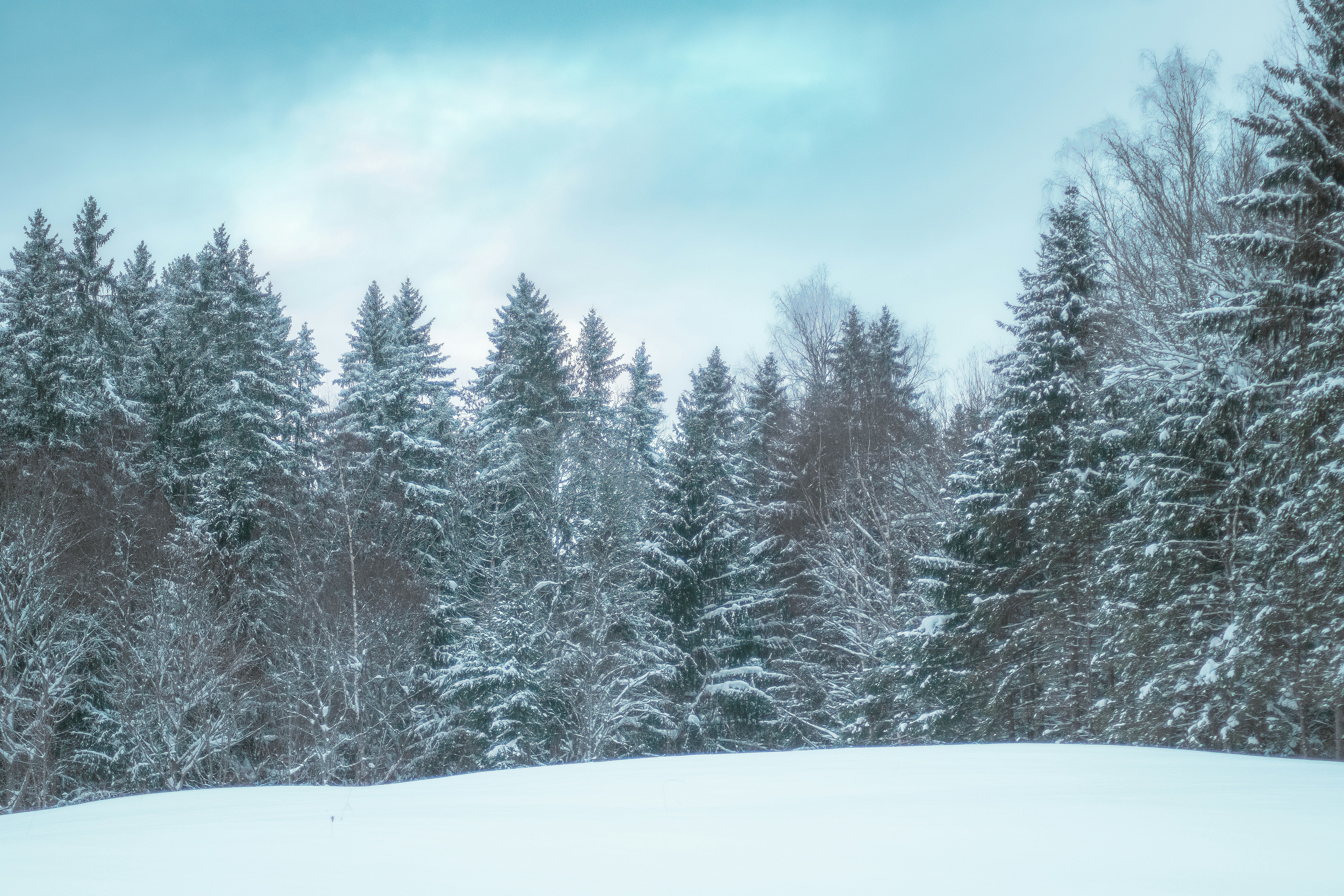 Photo by ainarscekuls