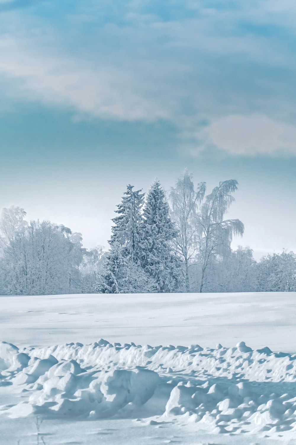 a person riding skis on a snowy surface