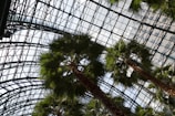 Tall palm trees stretch upwards under a large glass and steel canopy. The structure of the roof creates geometric patterns with its intersecting metal framework. Sunlight filters through the glass, casting a warm glow on the green leaves of the palm trees.