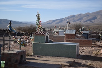 A cemetery situated in a desert landscape with numerous graves marked by colorful floral decorations. The scene extends towards barren mountains under a clear sky, creating a tranquil yet somber atmosphere.