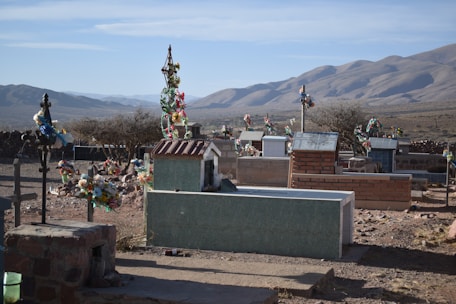 A cemetery situated in a desert landscape with numerous graves marked by colorful floral decorations. The scene extends towards barren mountains under a clear sky, creating a tranquil yet somber atmosphere.