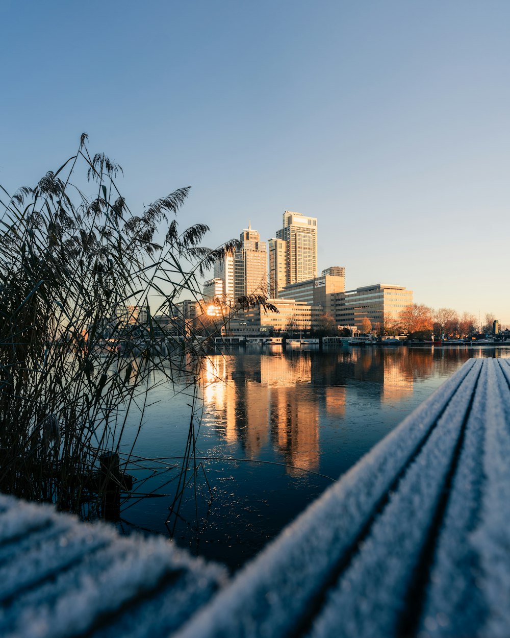 a body of water with a city in the background