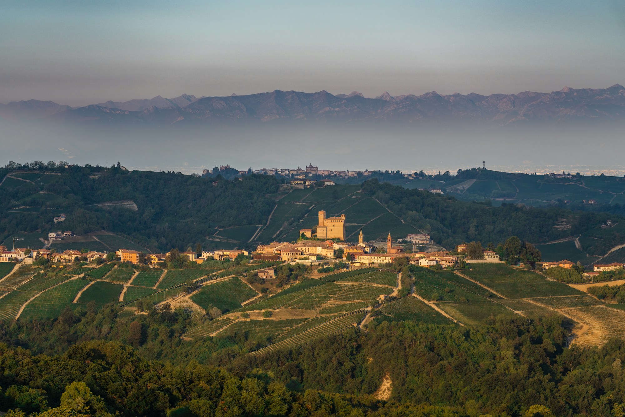 Vineyard Vistas: A Wine Odyssey Through France and Italy