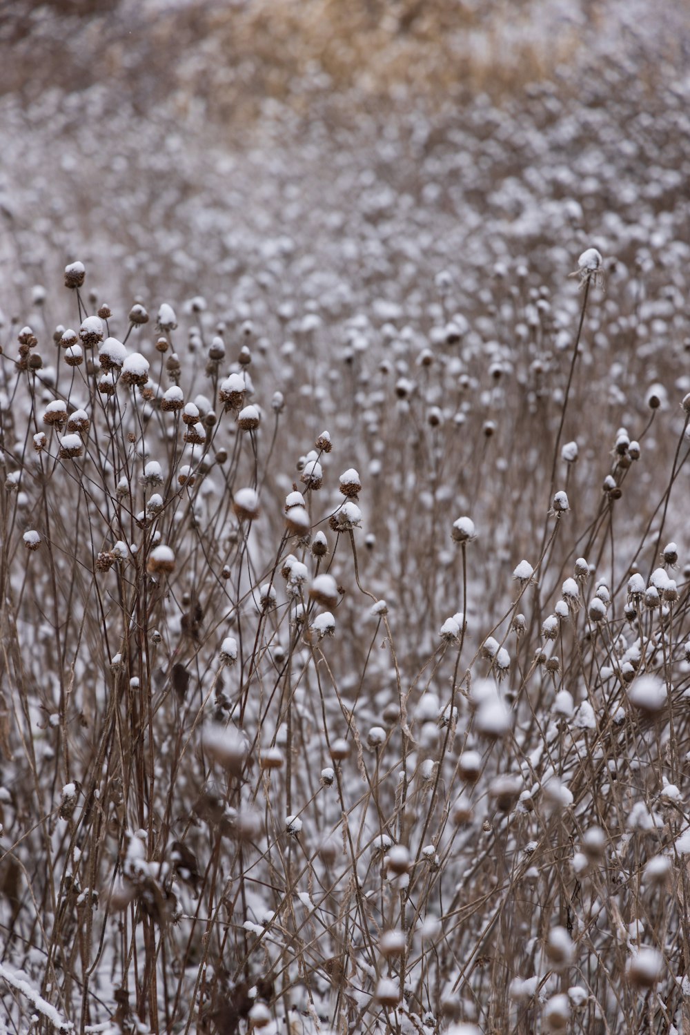 a field of grass covered in snow next to a hill