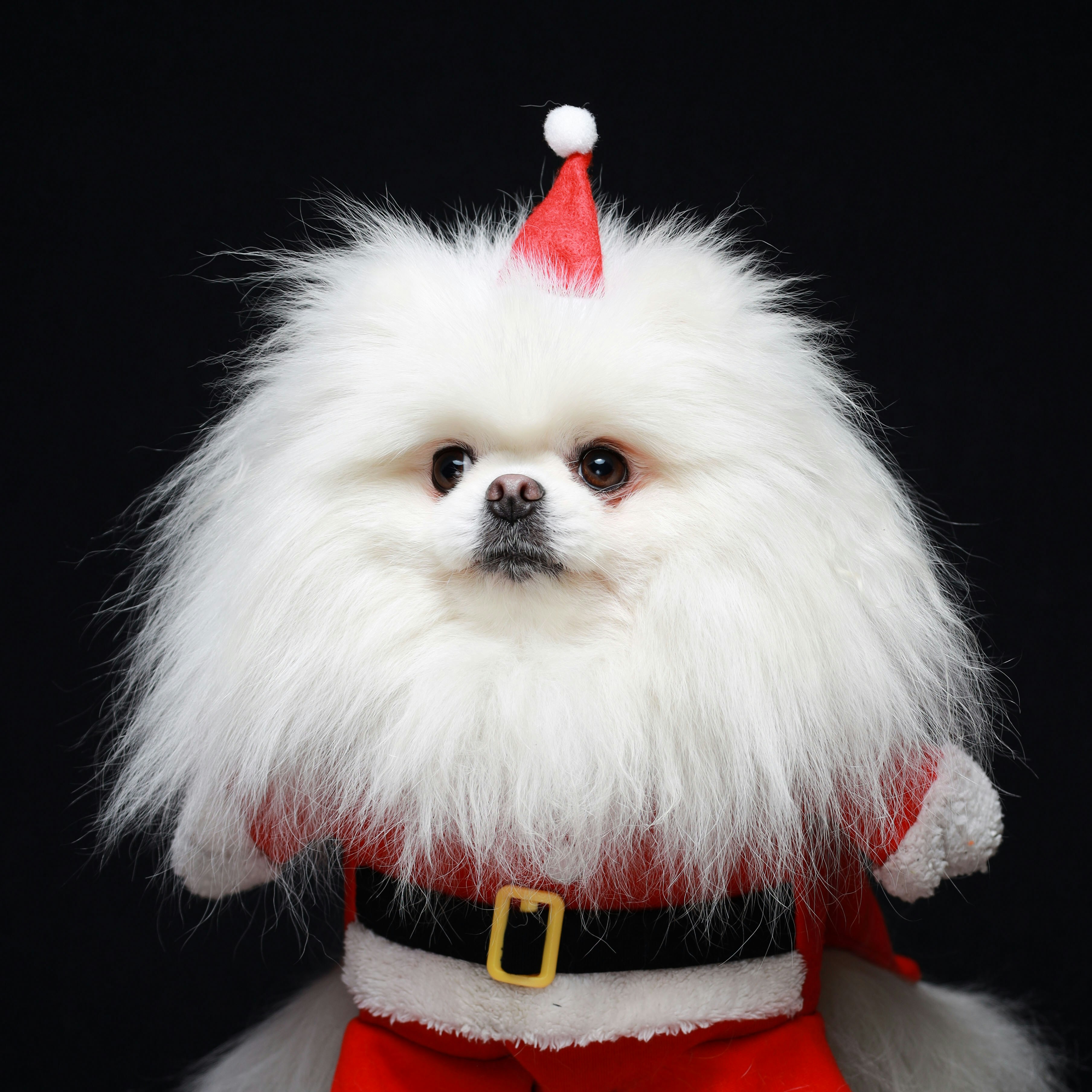 Photo by nataliegraphy