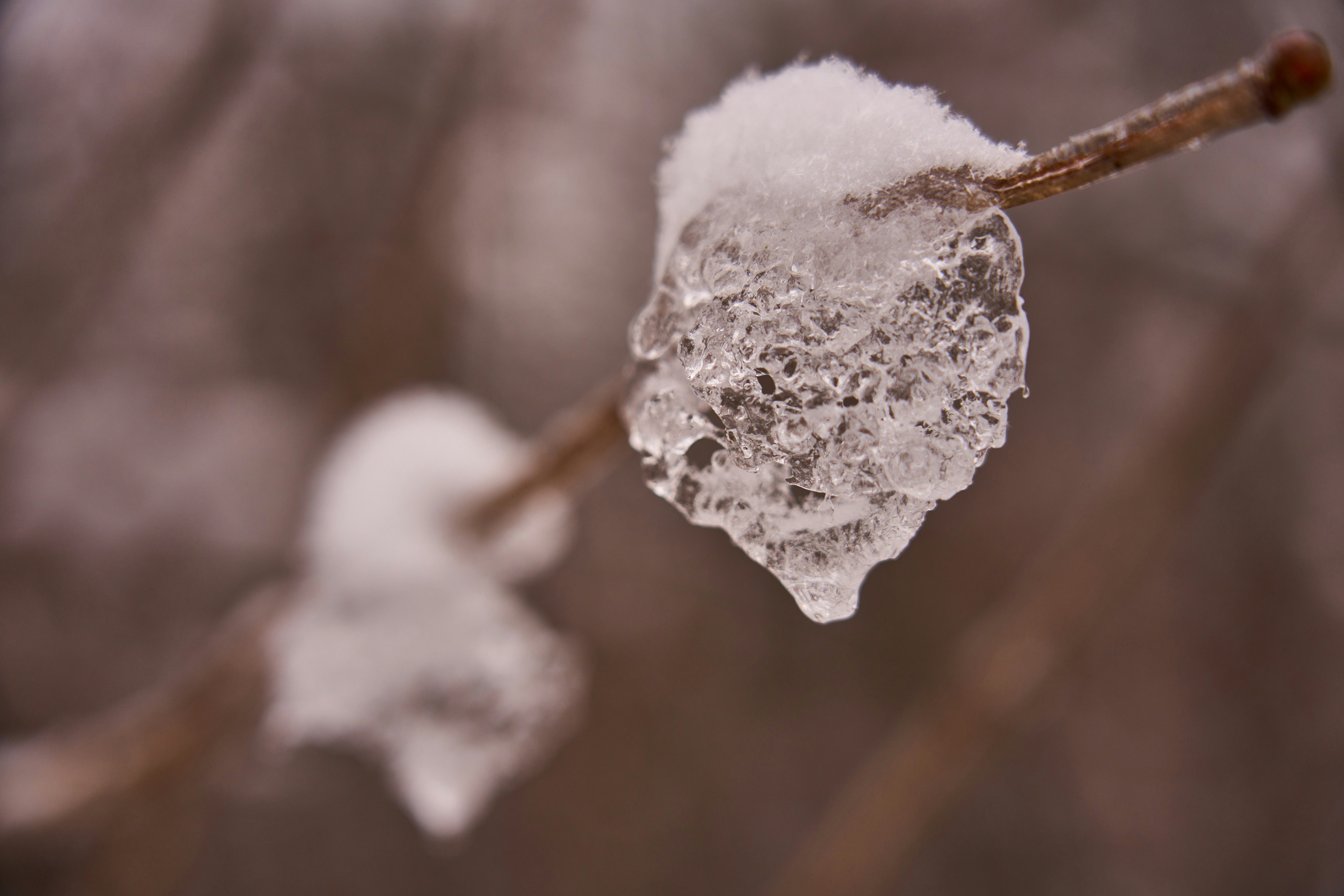 50 Heartwarming Snow Fall Quotes to Melt Your Soul