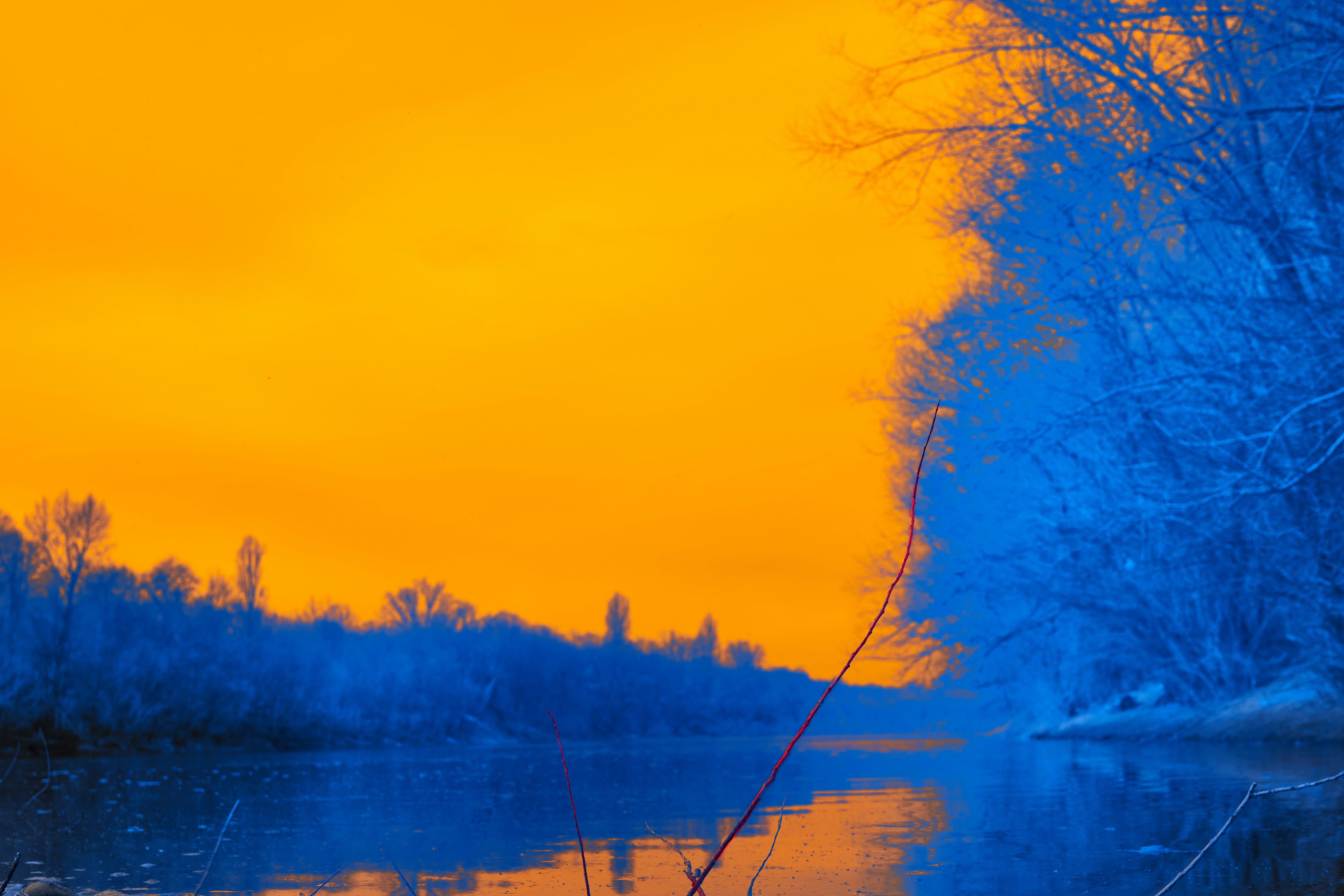 Photo by wolfgang_hasselmann