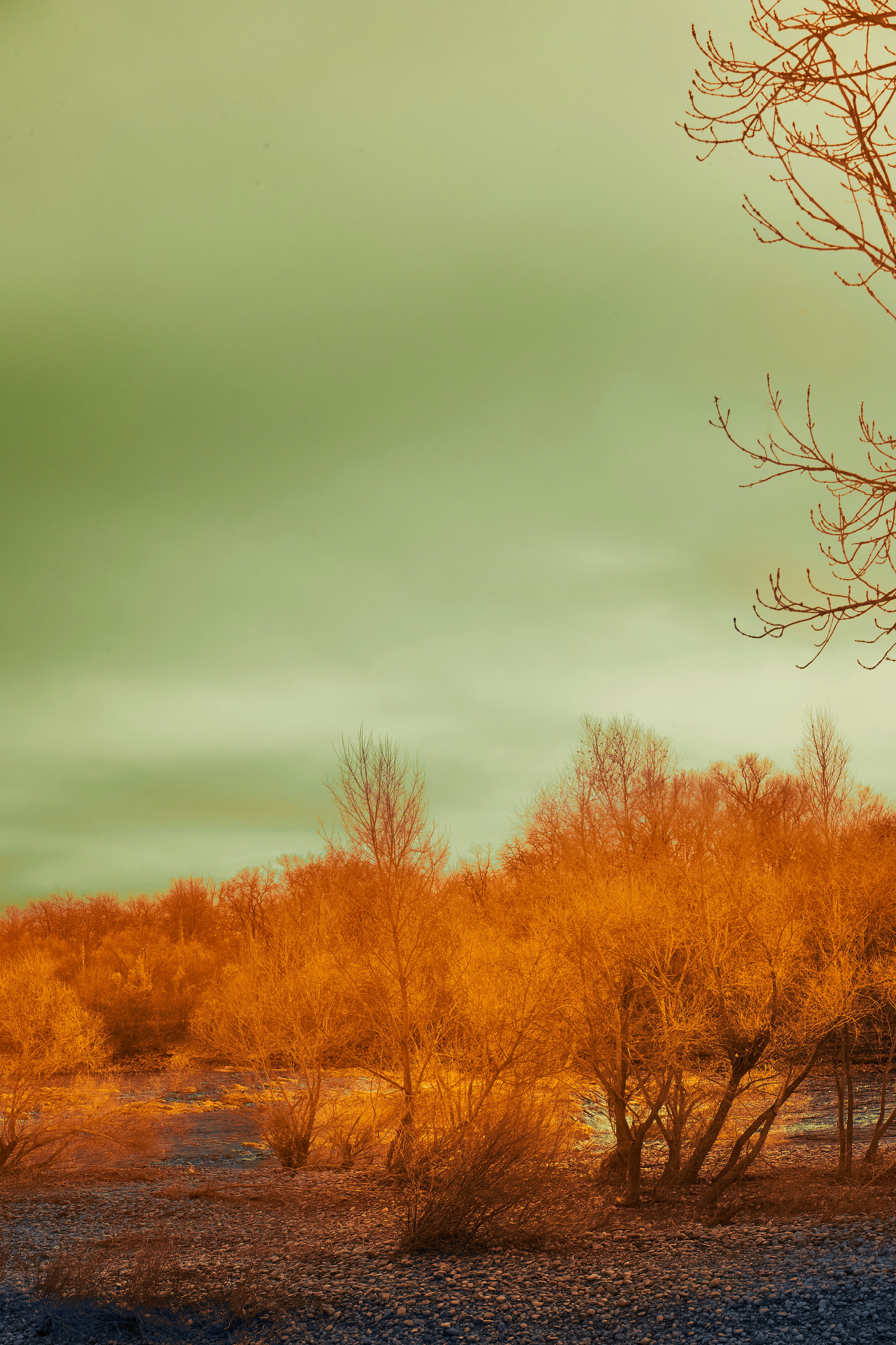 Photo by wolfgang_hasselmann