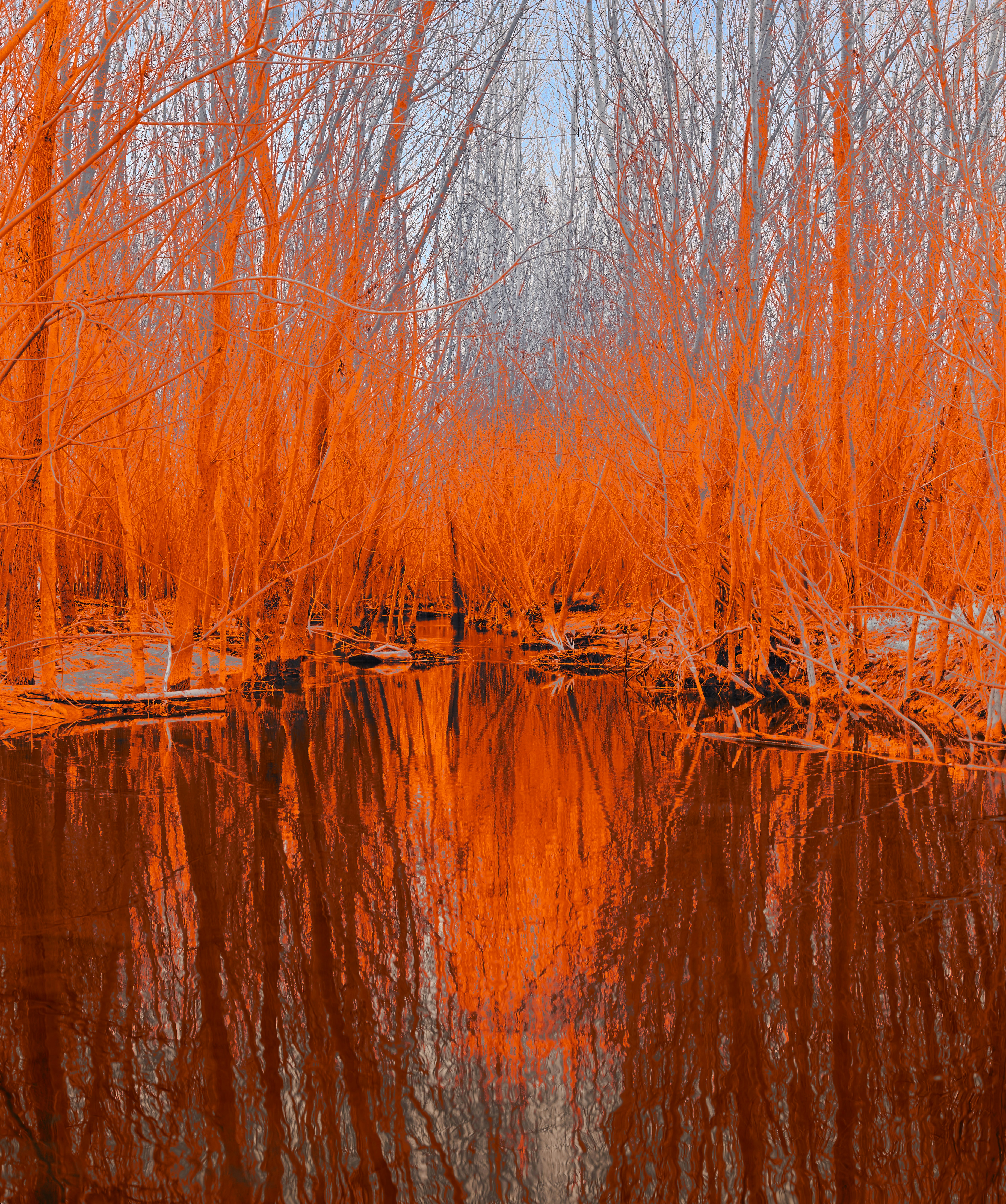 Photo by wolfgang_hasselmann