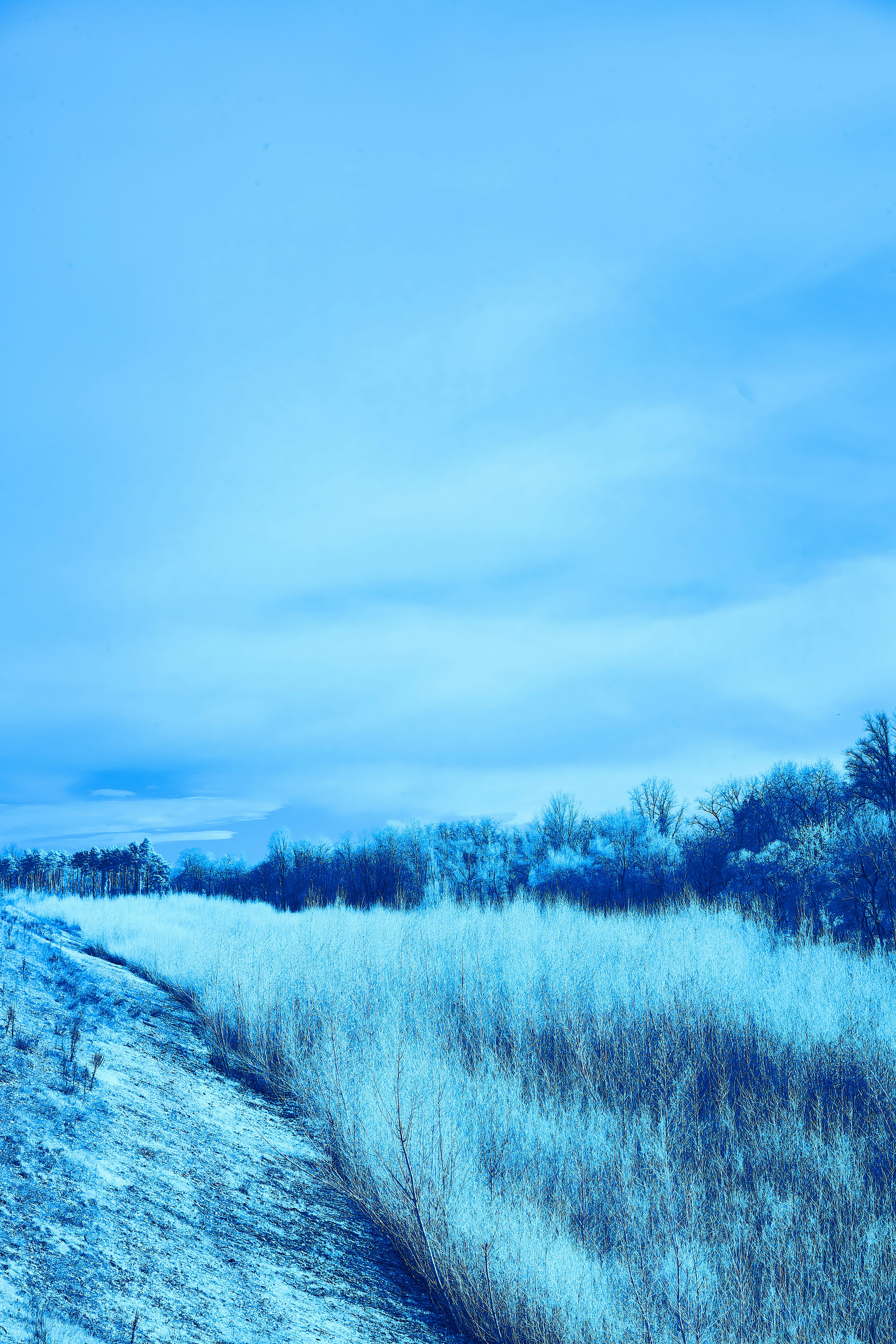 Photo by wolfgang_hasselmann