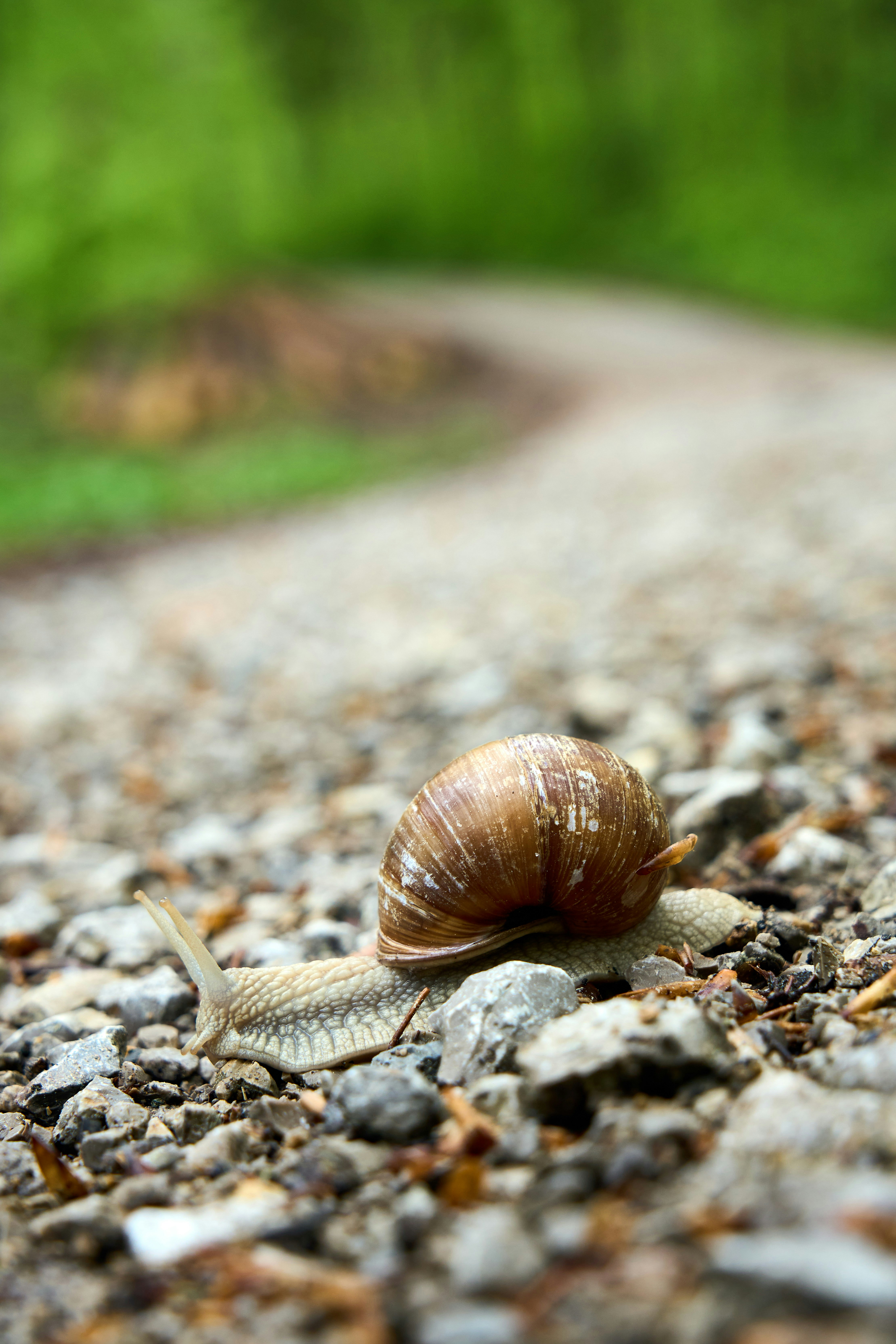 Photo by wolfgang_hasselmann