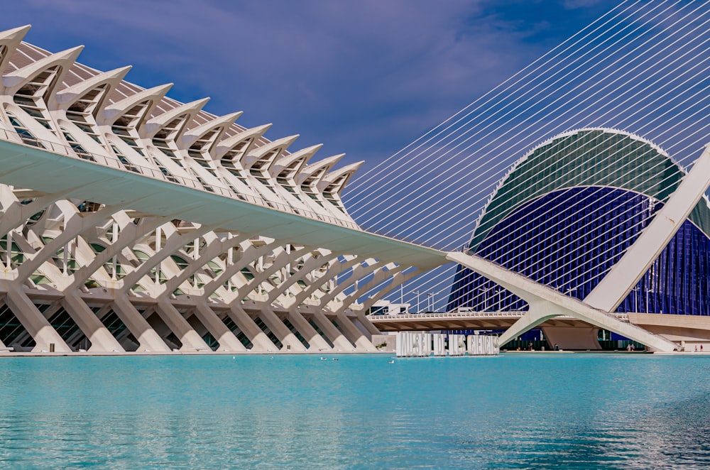 The amazing architecture of the Arts and Sciences Museum of Valencia