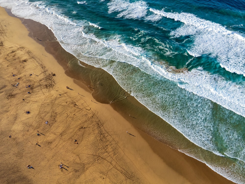 an aerial view of a beach and ocean