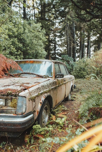 A vintage car covered in moss and rust is partially obscured by overgrown foliage, surrounded by a lush, dense forest. Natural elements are reclaiming the vehicle, with ferns and vines encroaching upon the structure. The atmosphere conveys a sense of abandonment and nature's resilience.