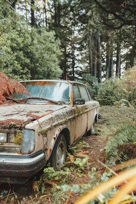 A vintage car covered in moss and rust is partially obscured by overgrown foliage, surrounded by a lush, dense forest. Natural elements are reclaiming the vehicle, with ferns and vines encroaching upon the structure. The atmosphere conveys a sense of abandonment and nature's resilience.