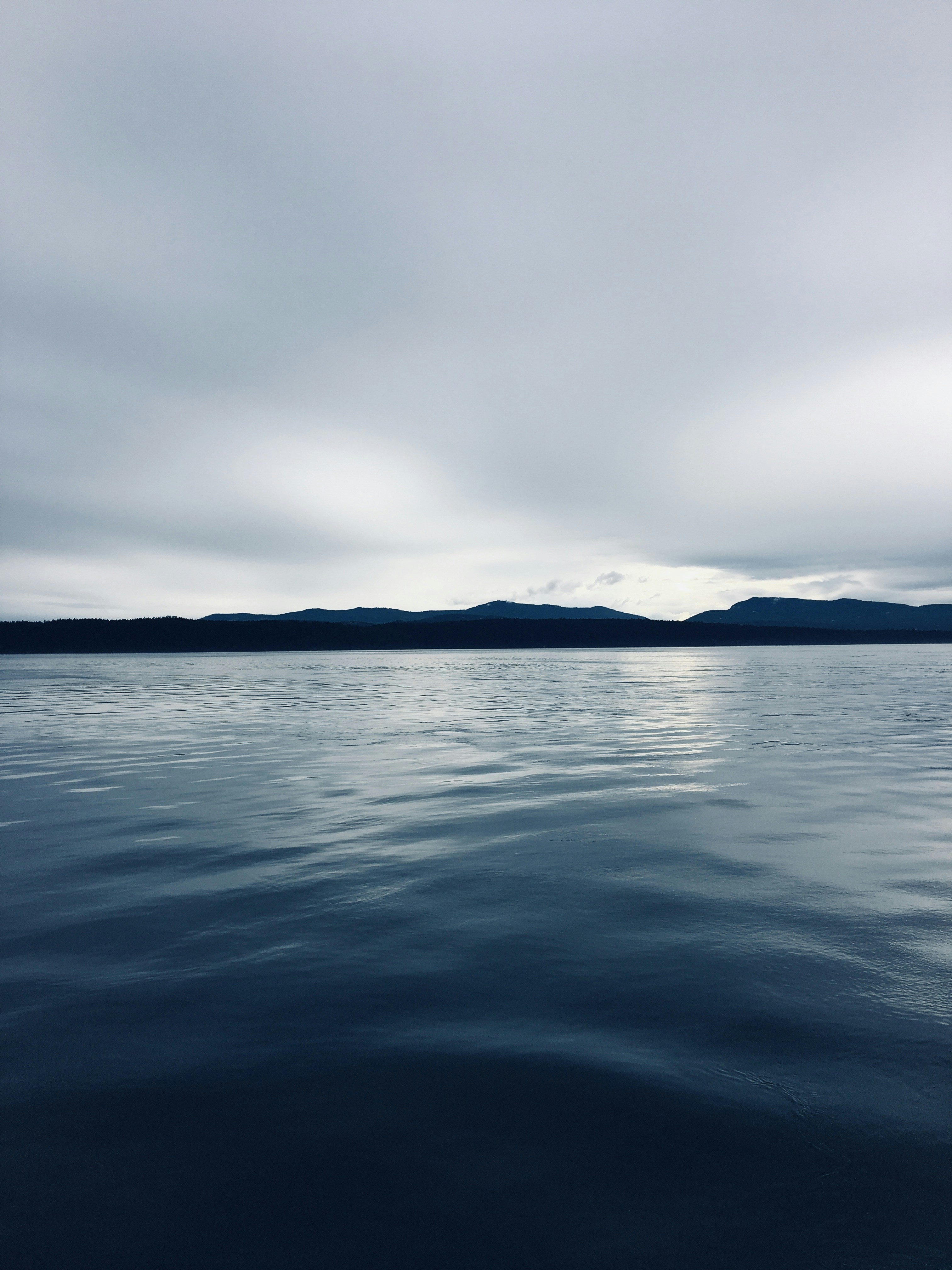 Photo by brooklynkorol