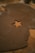 a star shaped cookie sitting on top of a wooden table