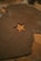 a star shaped cookie sitting on top of a wooden table