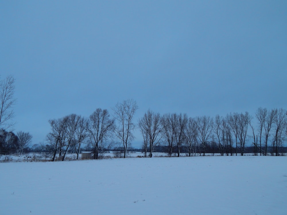 a snow covered field with trees in the distance