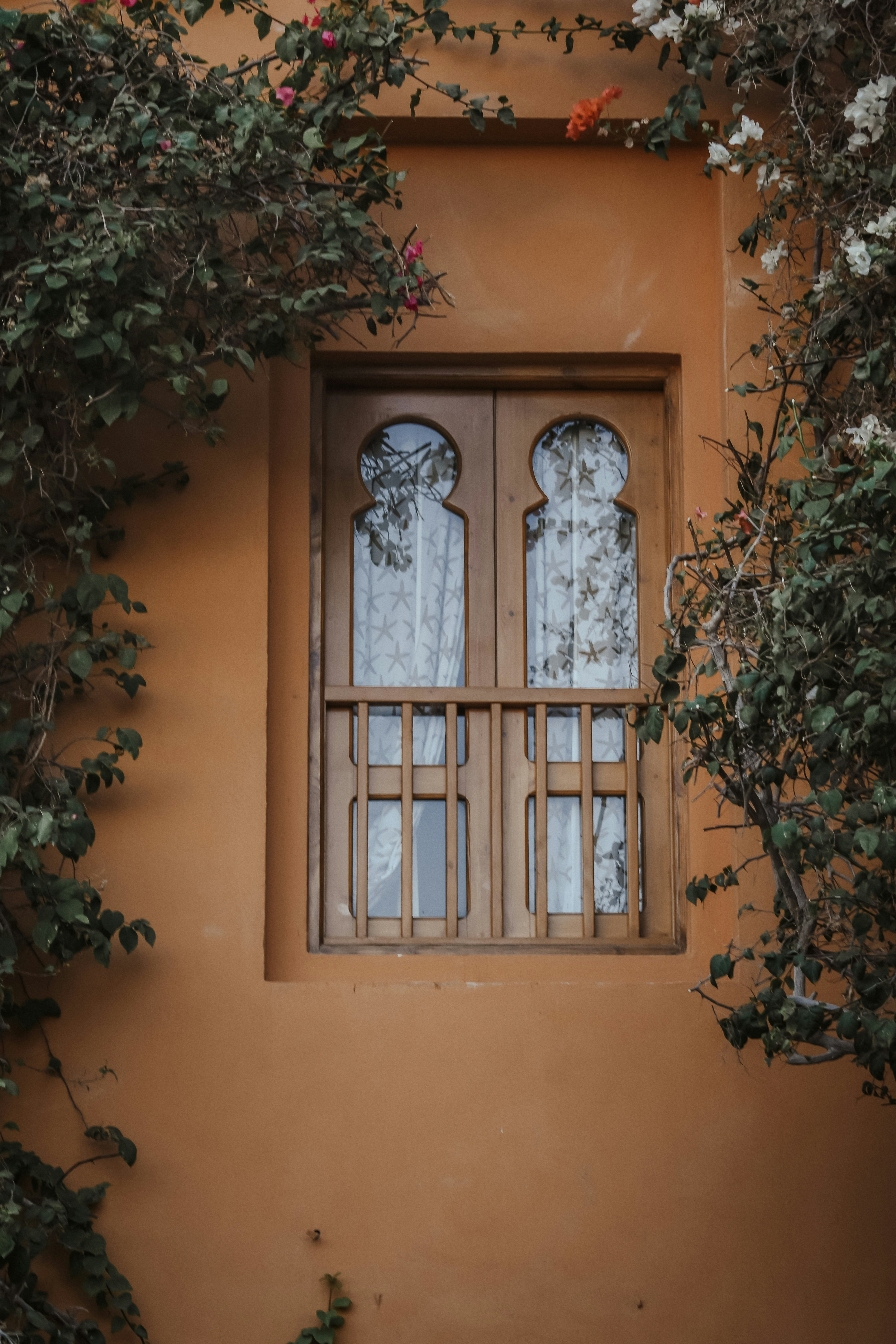 Photo by nourhan_m_sabek