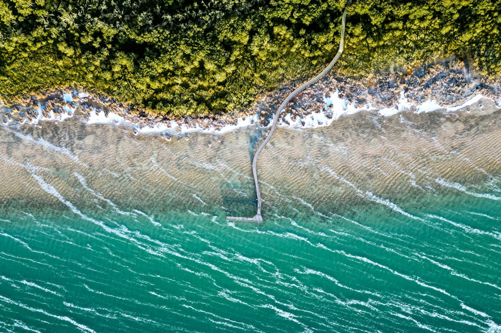 Una vista de pájaro del agua y los árboles