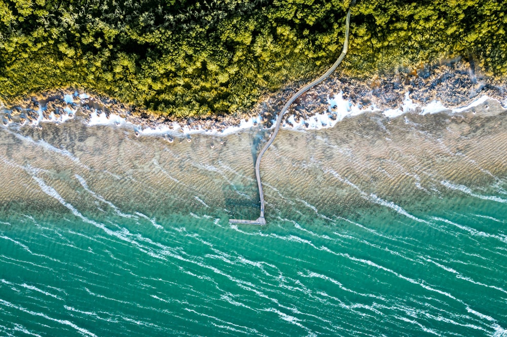 a bird's eye view of the water and trees