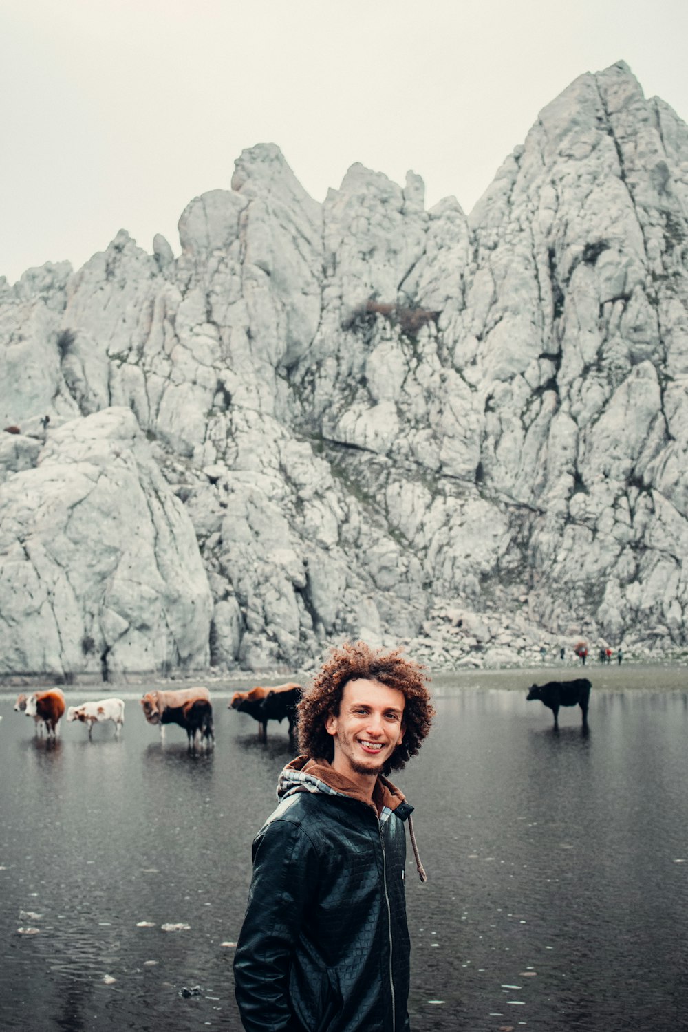 a man standing in front of a herd of cows