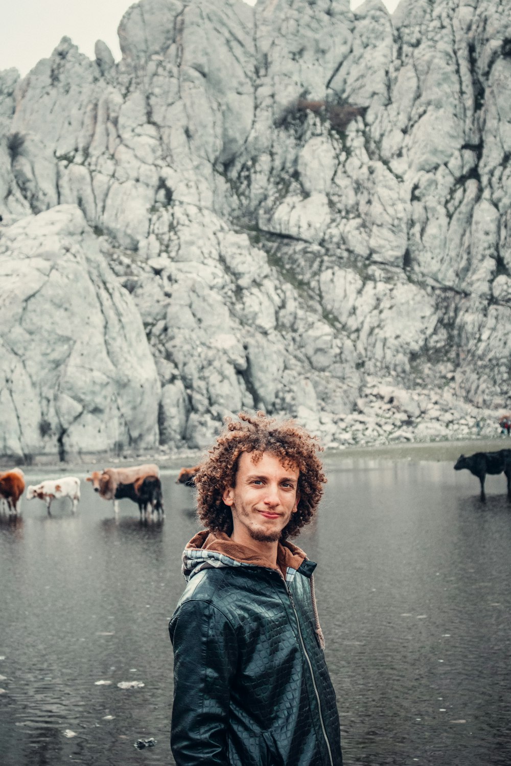 a man standing in front of a herd of cattle