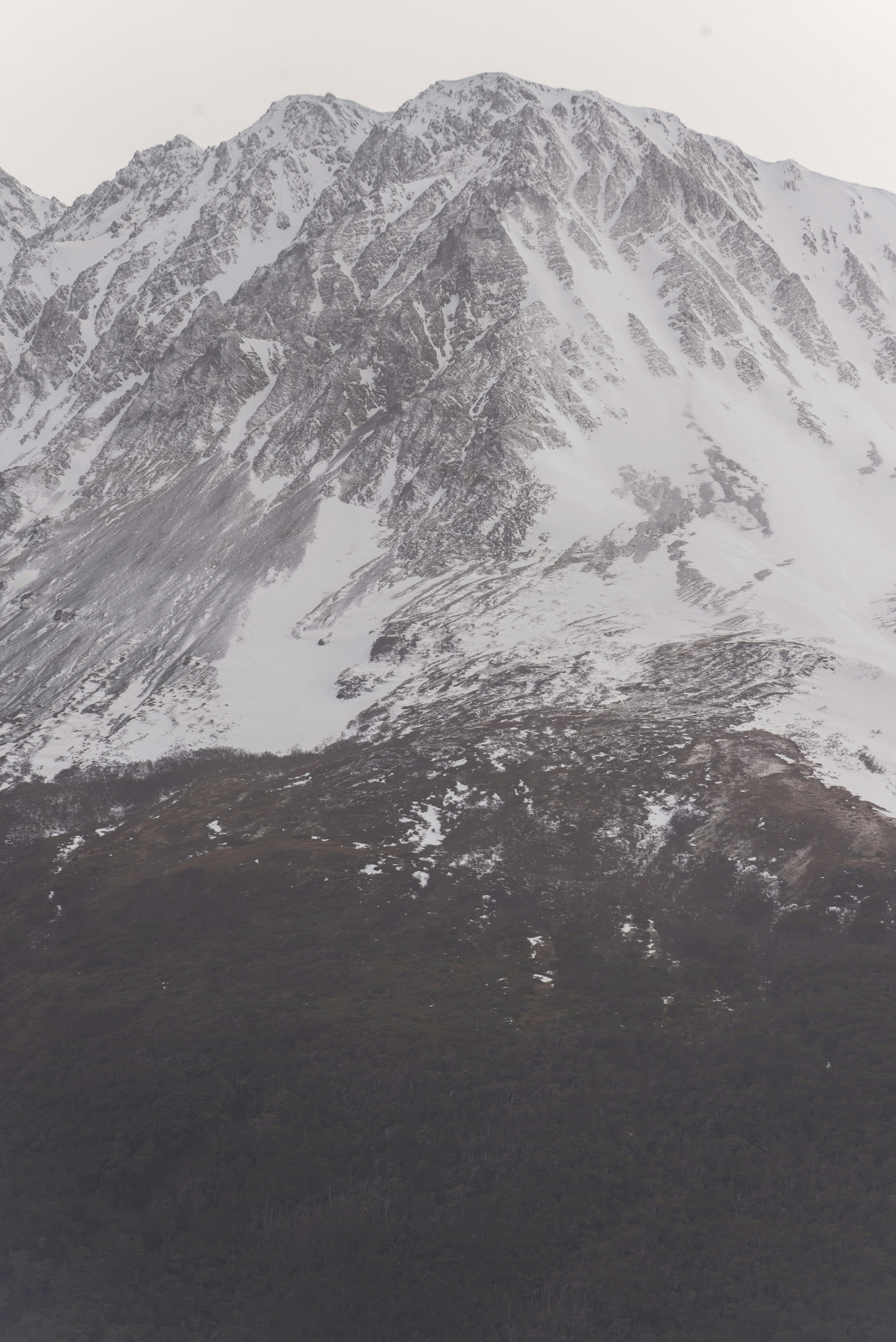 Photo by captoprisko