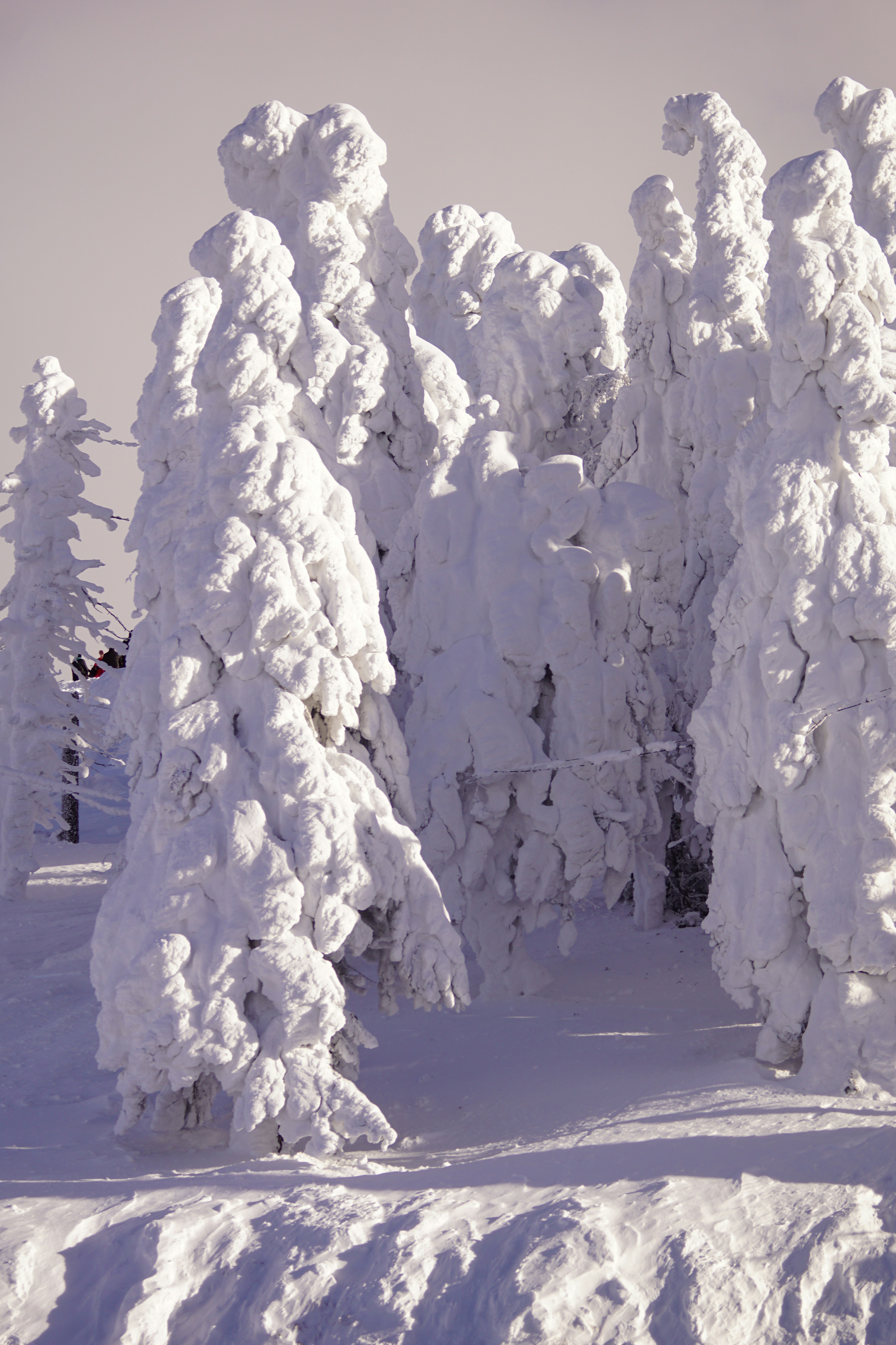 Photo by vladionut93