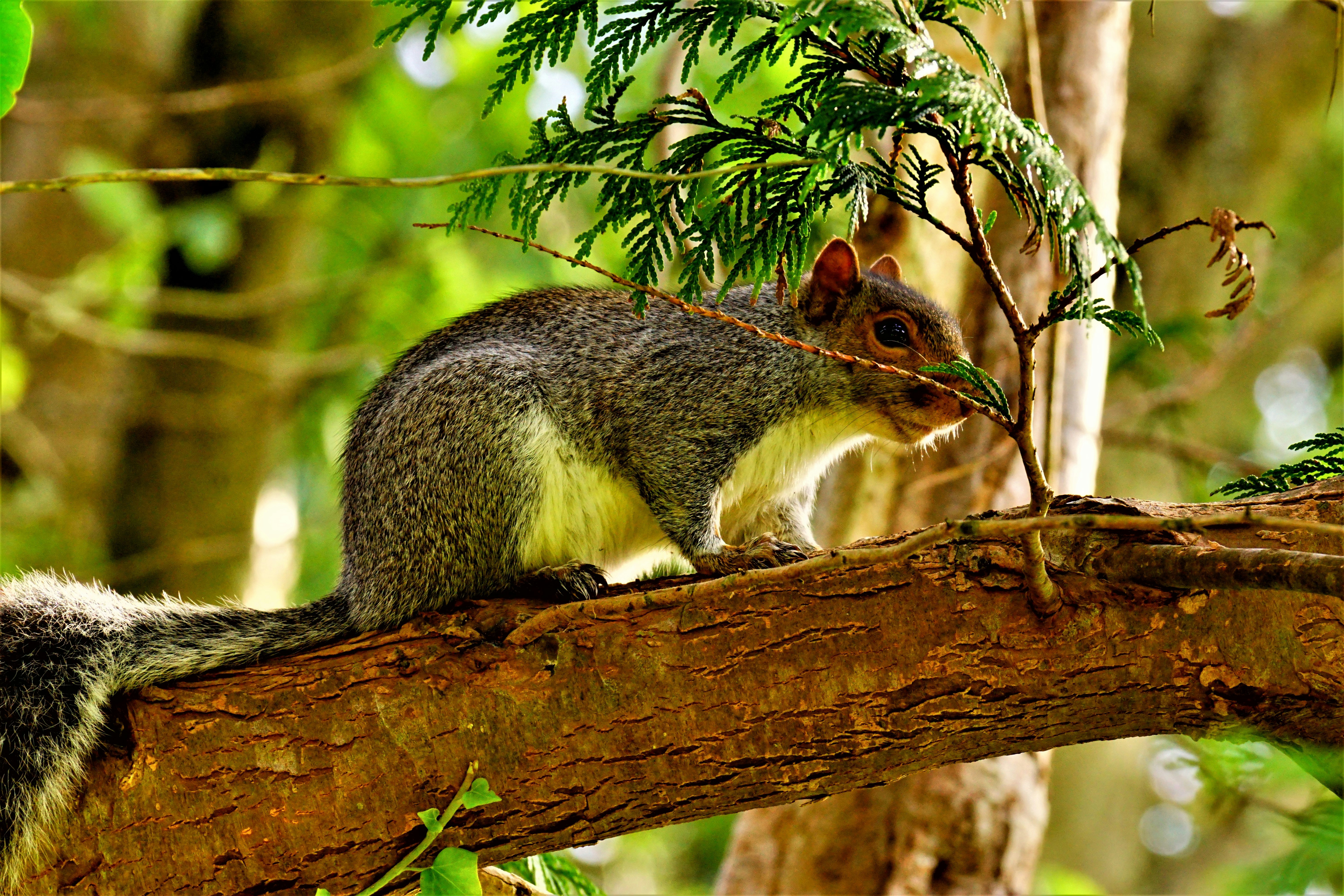 Photo by vladionut93