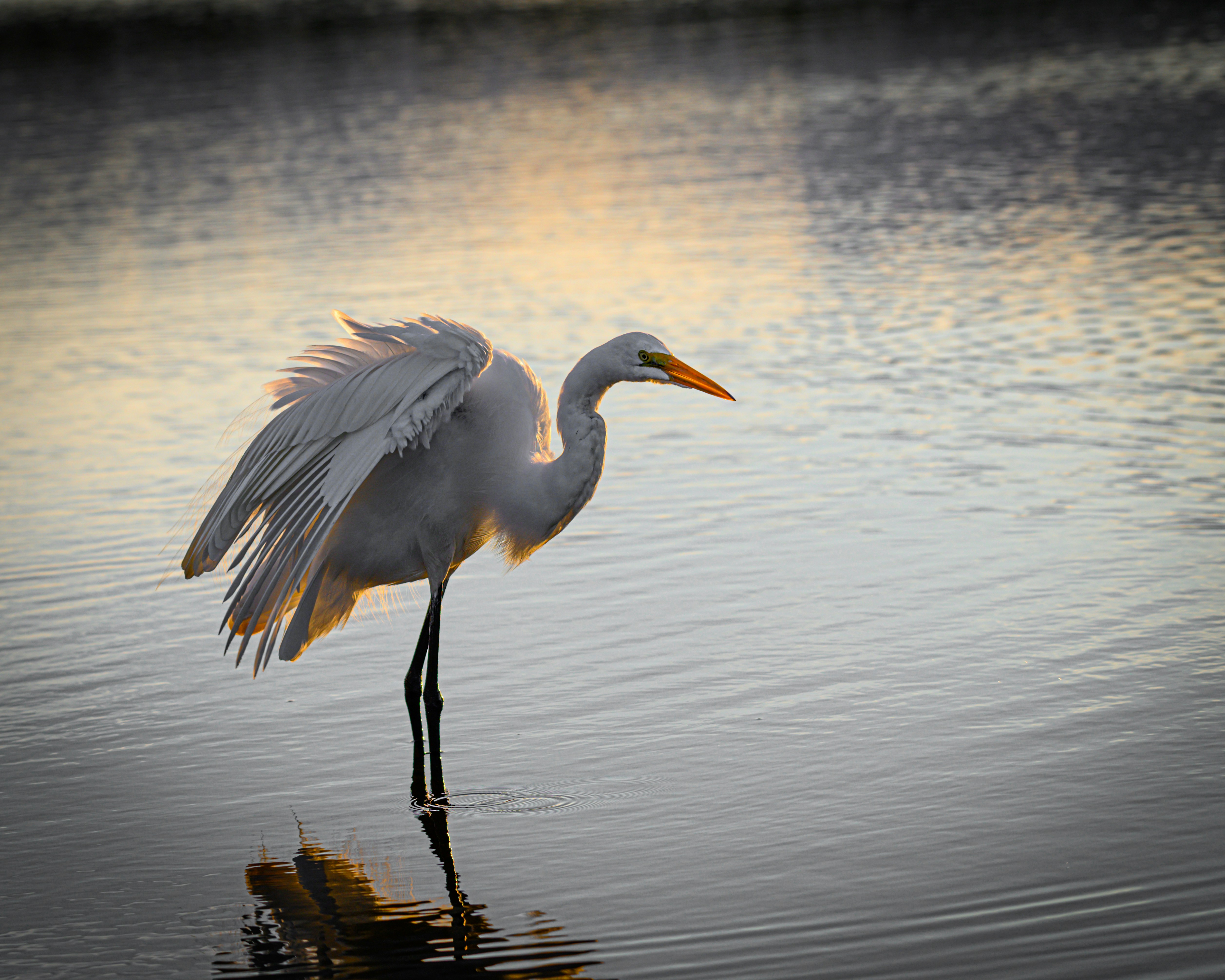 Photo by sagredophotography