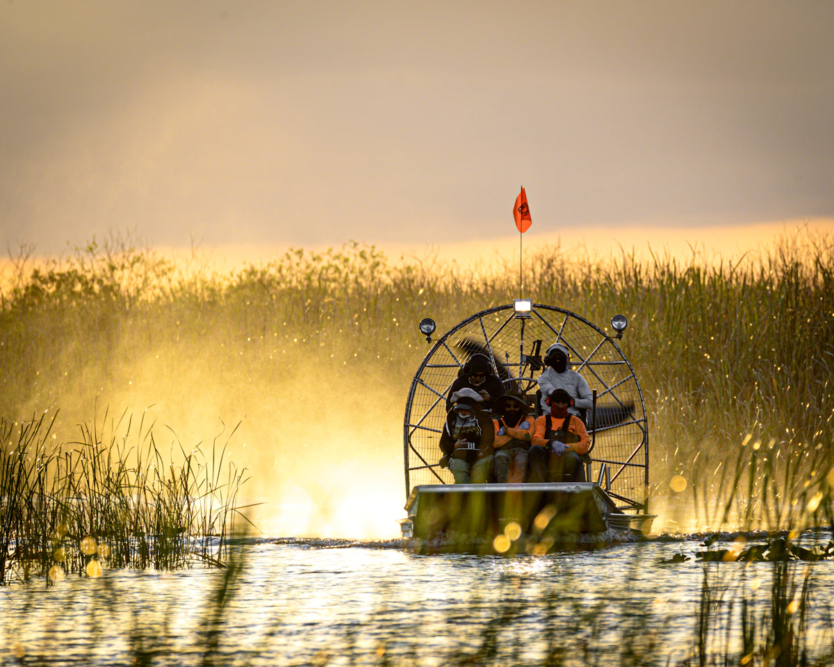 Everglades Miami airboat cocodrilos