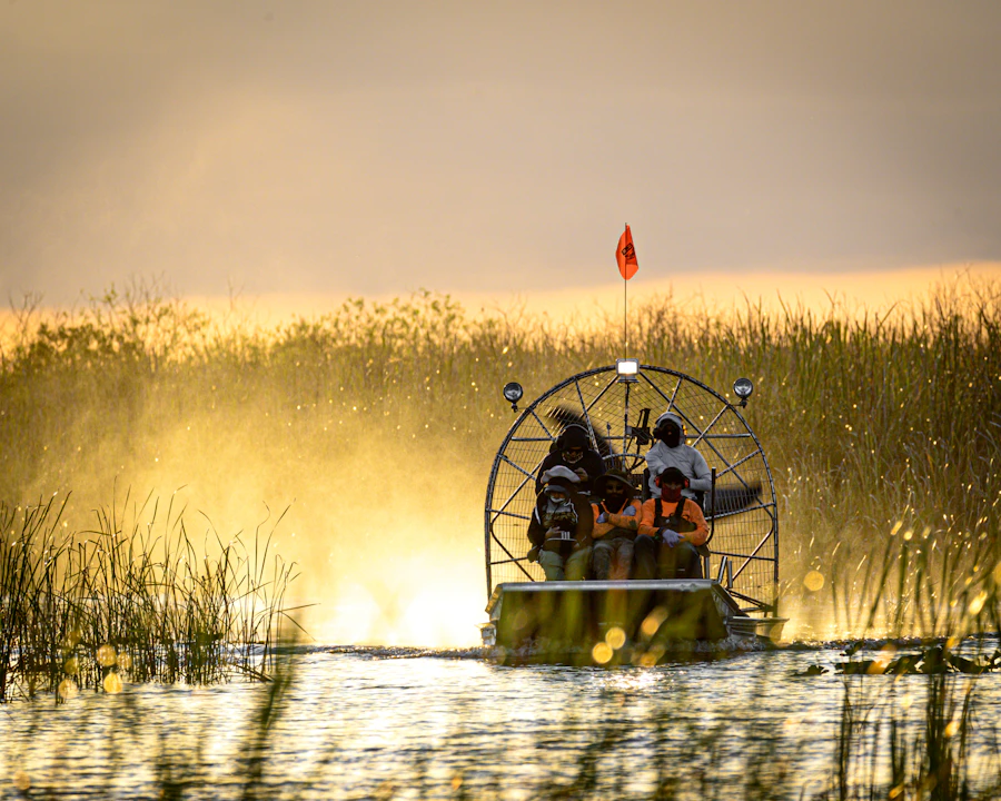 Everglades airboat through tall grass