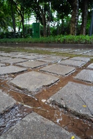 Close-up of a stone pathway winding through vibrant greenery beside a custom pool.