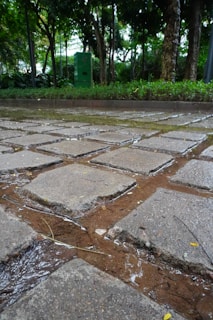 Close-up of a stone pathway winding through vibrant greenery beside a custom pool.
