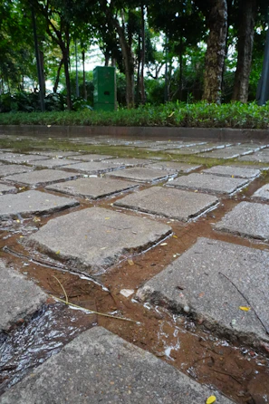 Clean patio stones glistening after a thorough pressure wash, with garden plants in the background.