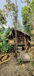A rustic wooden and thatched hut is surrounded by lush greenery, with trees and rocks in the foreground. The hut appears naturally integrated into the woodland setting, with mountains faintly visible in the background under a clear sky.