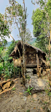 A rustic wooden and thatched hut is surrounded by lush greenery, with trees and rocks in the foreground. The hut appears naturally integrated into the woodland setting, with mountains faintly visible in the background under a clear sky.