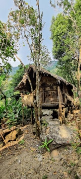 A rustic wooden and thatched hut is surrounded by lush greenery, with trees and rocks in the foreground. The hut appears naturally integrated into the woodland setting, with mountains faintly visible in the background under a clear sky.