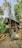 A rustic wooden and thatched hut is surrounded by lush greenery, with trees and rocks in the foreground. The hut appears naturally integrated into the woodland setting, with mountains faintly visible in the background under a clear sky.