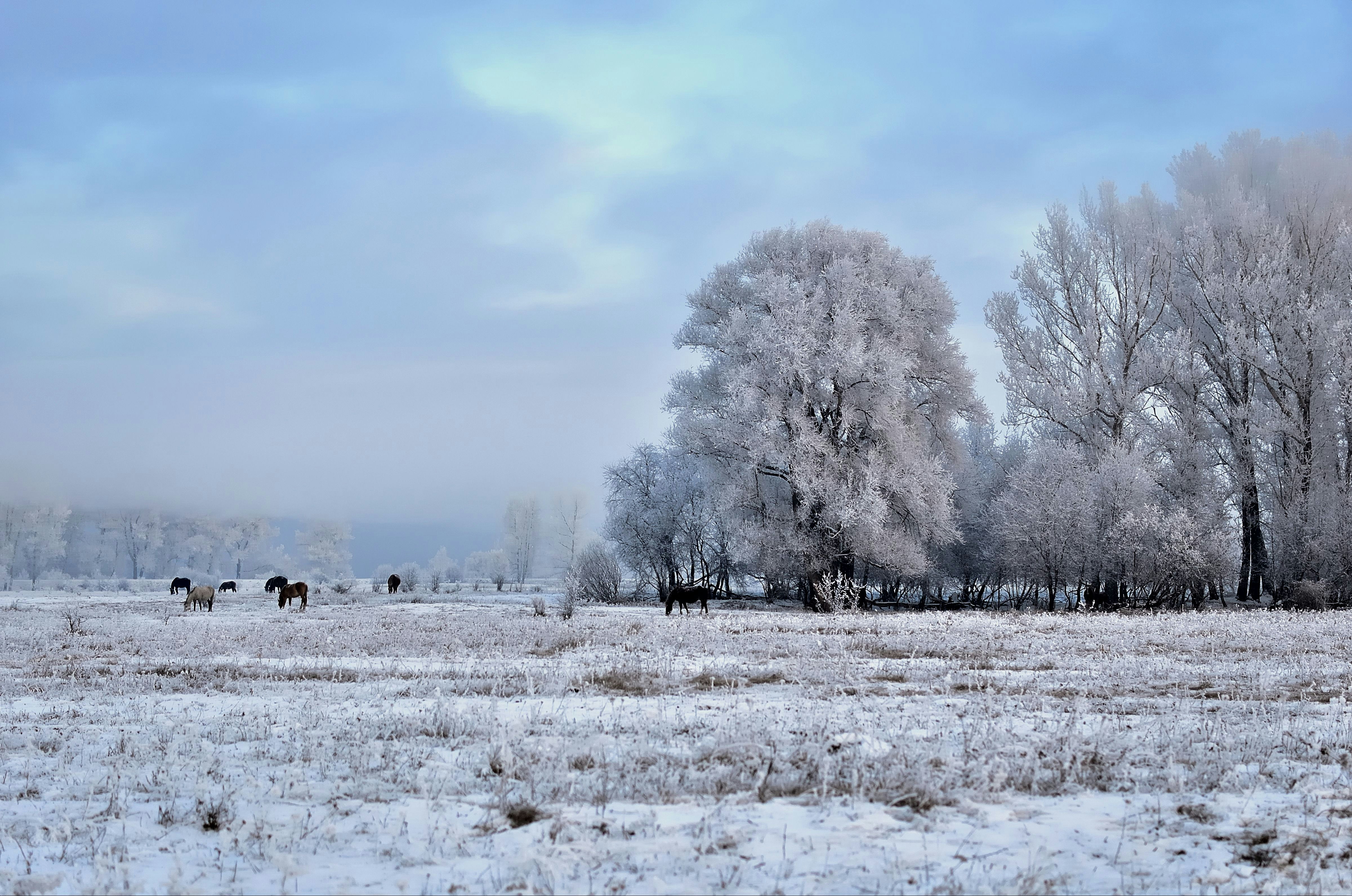 Photo by azxa661