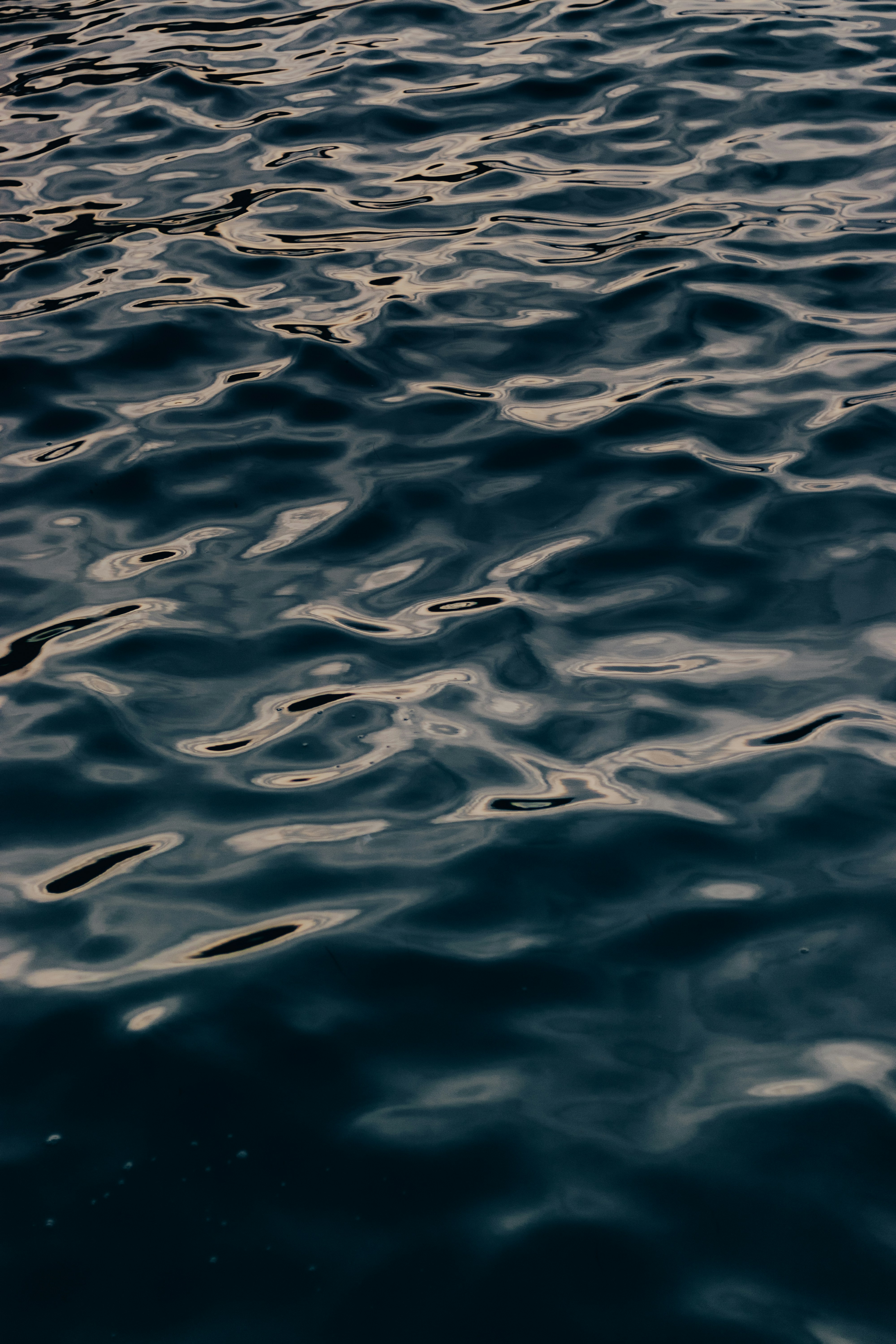 Photo by salaheregouane