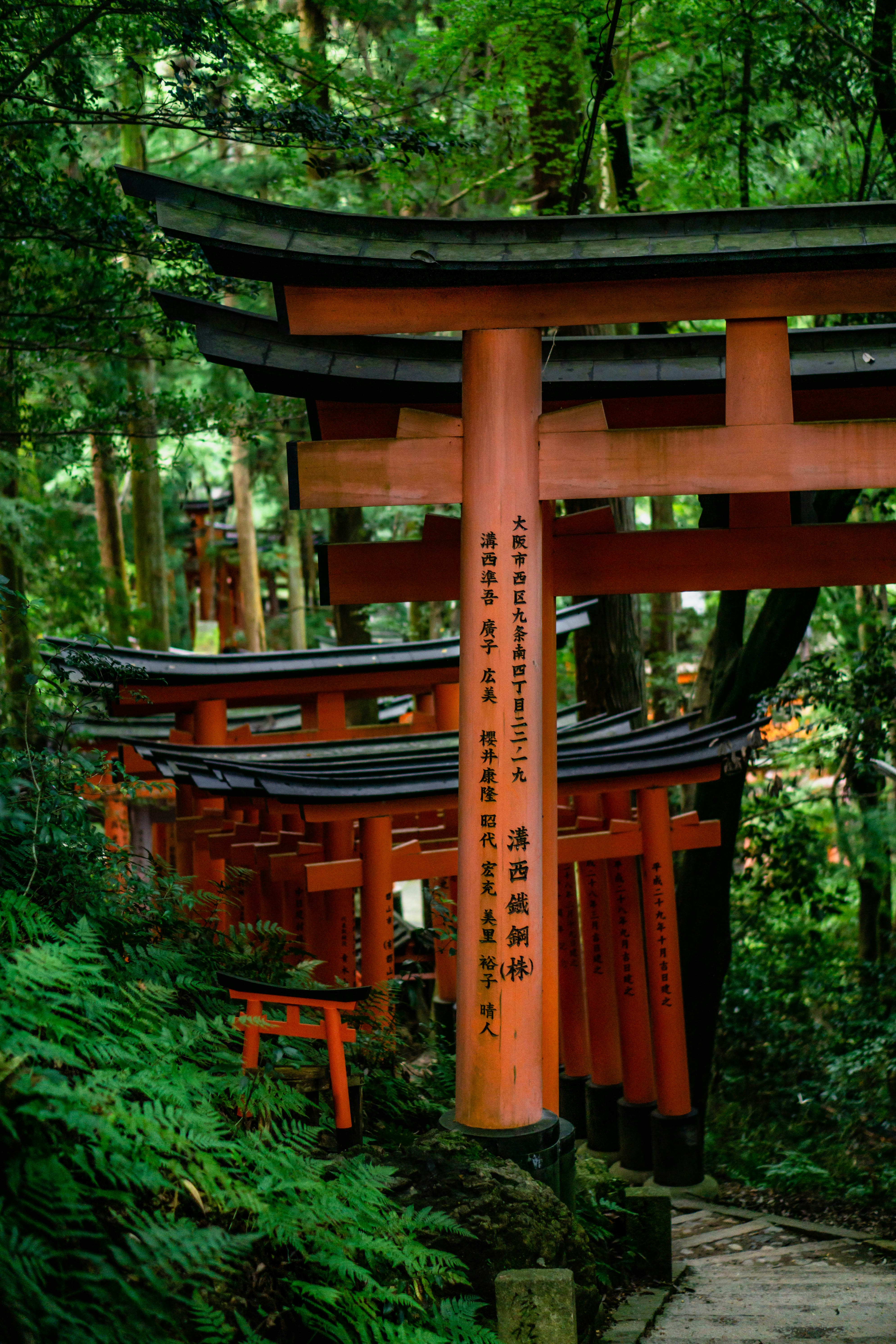 Photo by dianainjapan