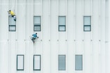 Two workers are suspended on ropes, painting or cleaning the exterior of a tall building. They are positioned on a vertical wall with multiple rectangular windows, dressed in safety gear.