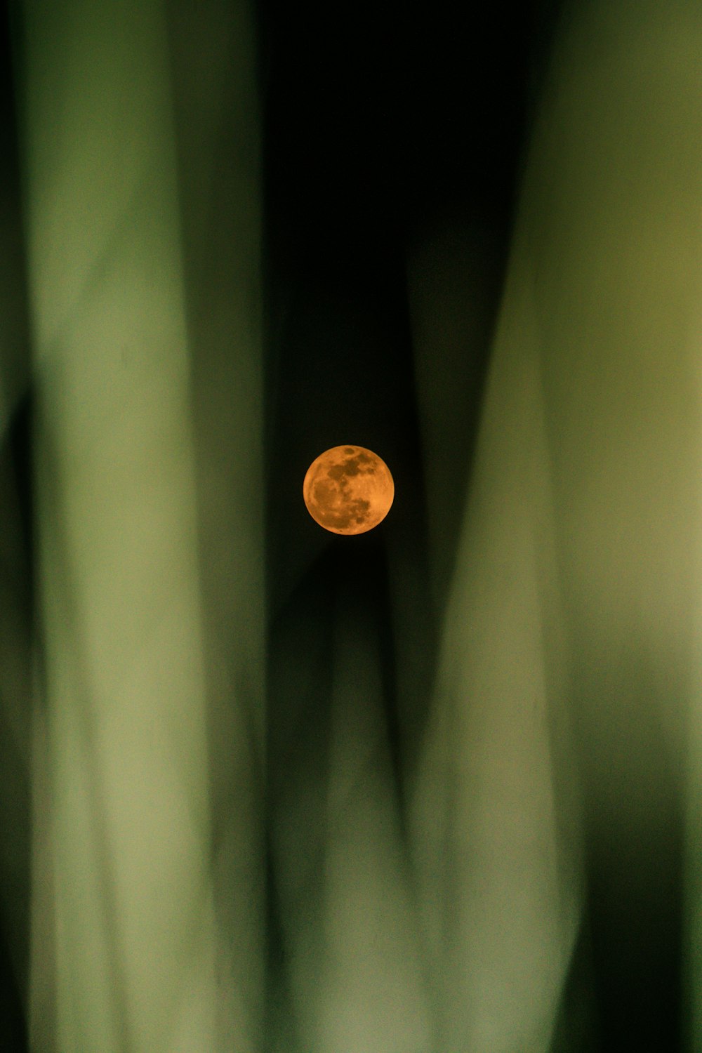 Una foto borrosa de una luna llena en el cielo