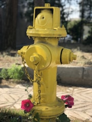 A bright yellow fire hydrant is prominently situated in an outdoor setting, surrounded by greenery and small pink flowers. The hydrant is equipped with a chain and appears to have slight wear. In the background, there are trees and a paved area, with soft lighting creating a serene atmosphere.